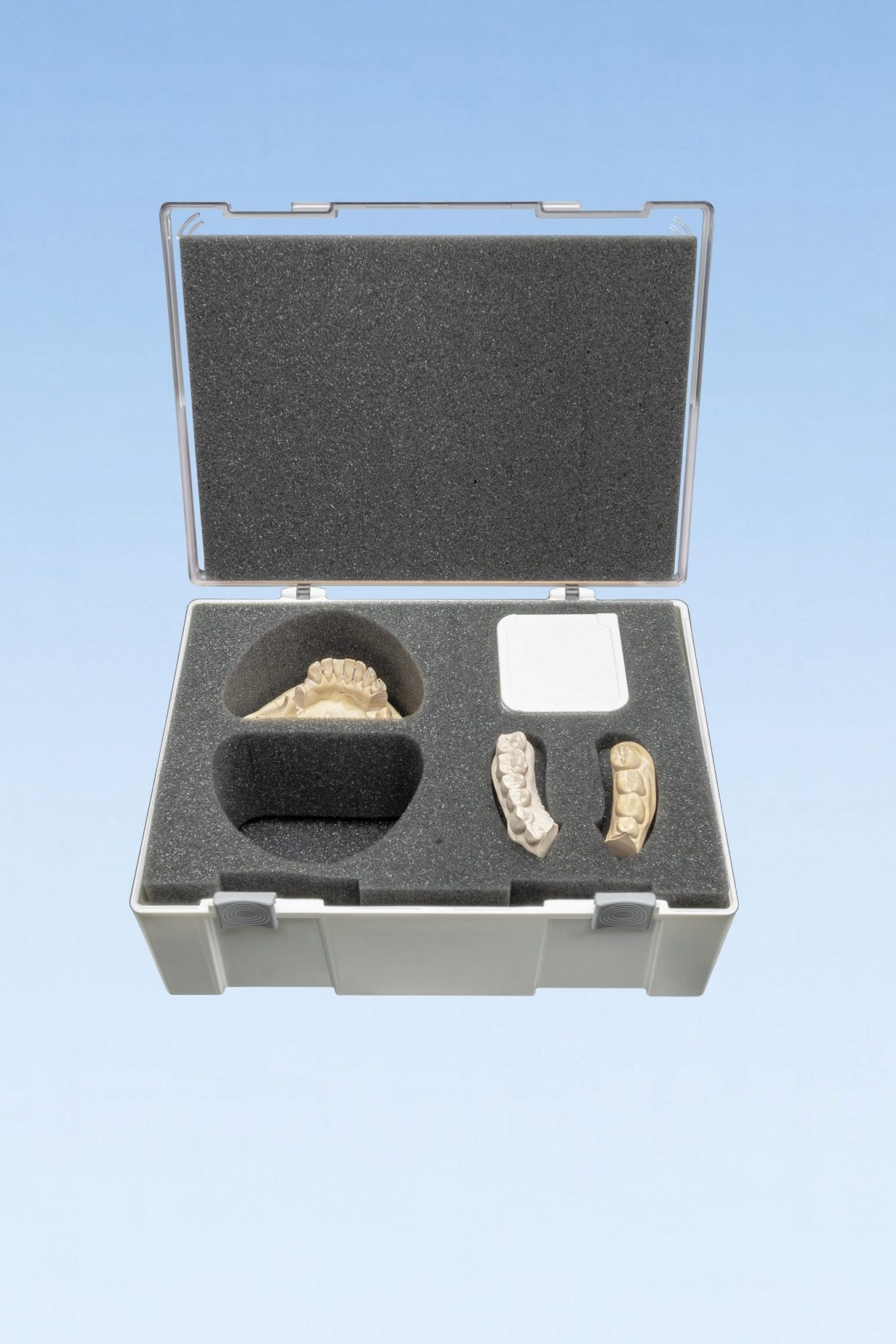 New shipping and presentation boxes for the dental sector