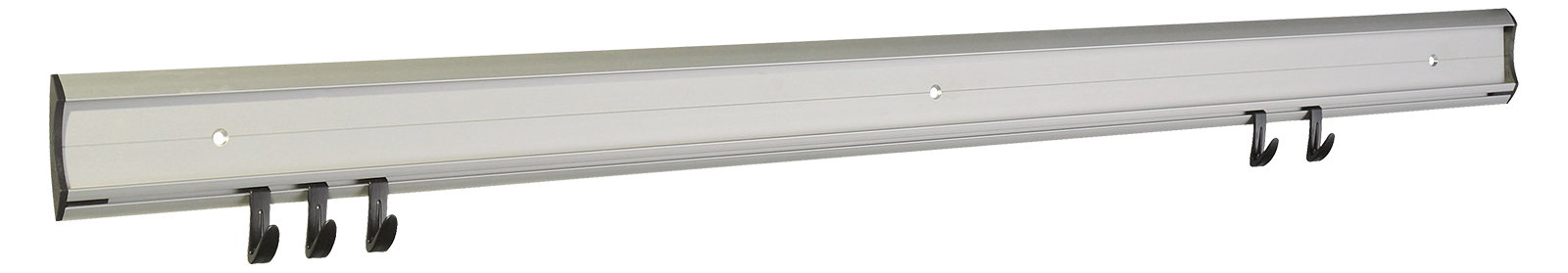 Aluschiene 100 Aluschiene 100